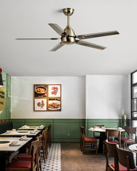 WOMO Industrial Stainless Steel Ceiling Fan-WM5213