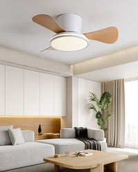 WOMO 28 Inch Small Hugger Ceiling Fan Lamp - WM5186