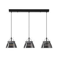 WOMO 3 Light Smoked Glass Pendant Light-WM2238