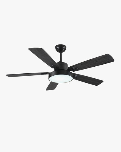 WOMO Minimal Black Ceiling Fan Lamp-WM5028