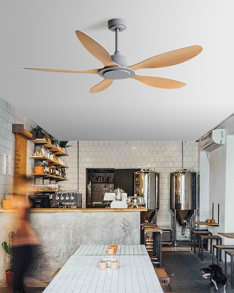 WOMO Modern Ceiling Fan - WM5246