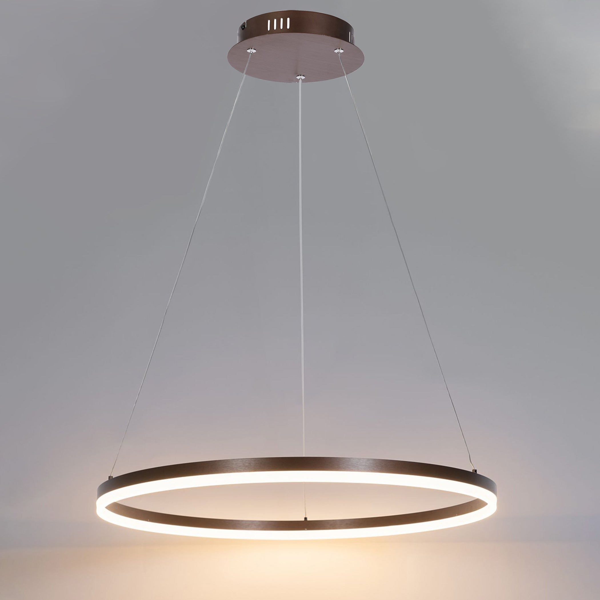WOMO Ring LED Pendant Light-WM2030
