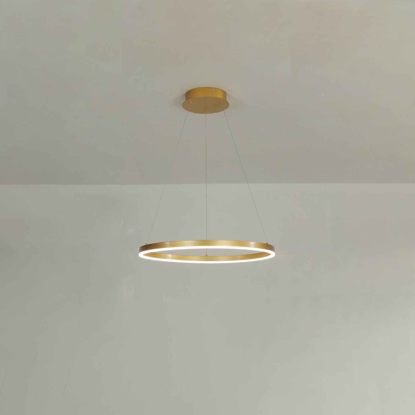 WOMO Ring Pendant Light-WM2030