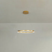 WOMO Ring LED Pendant Light-WM2030