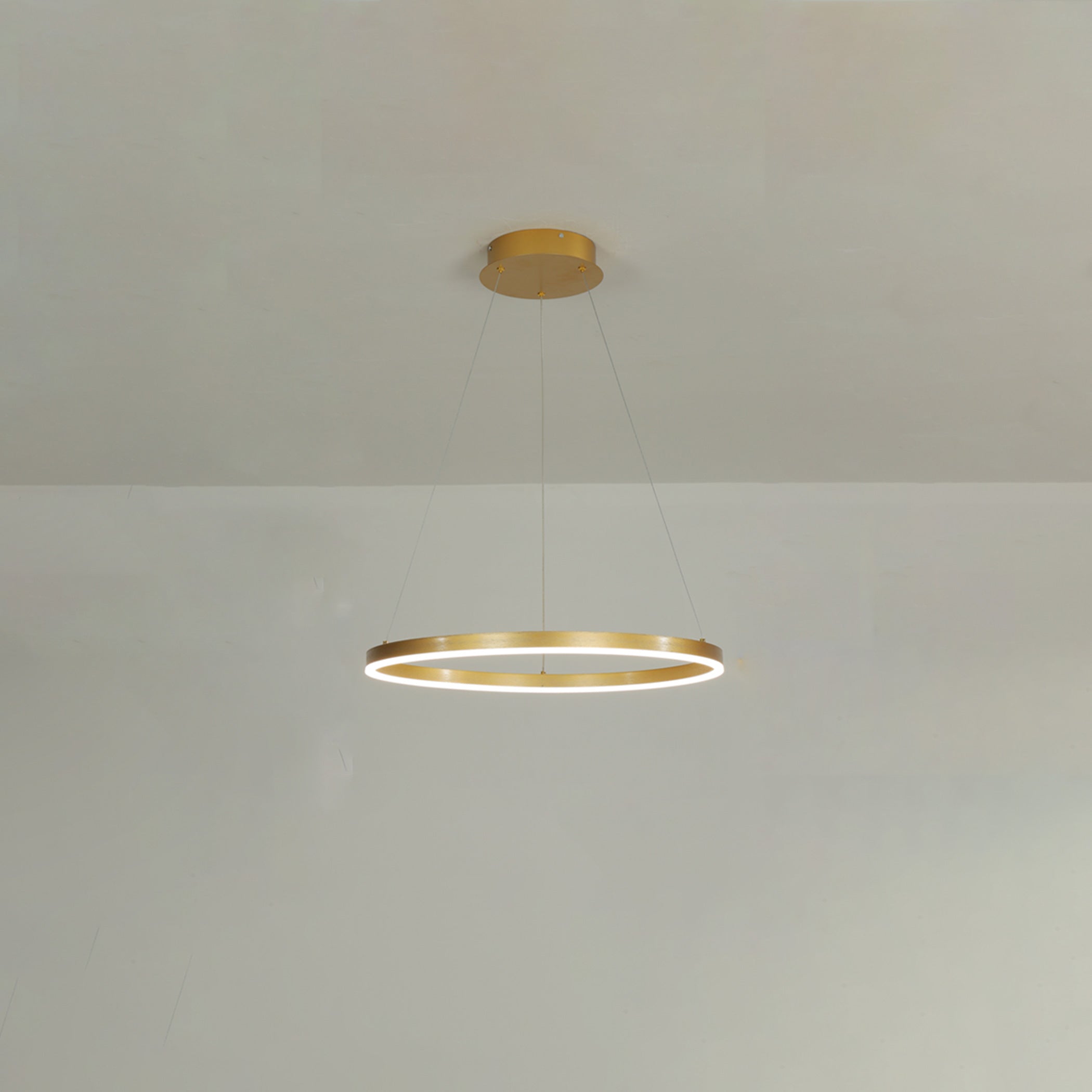WOMO Ring LED Pendant Light-WM2030