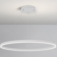 WOMO Ring LED Pendant Light-WM2030