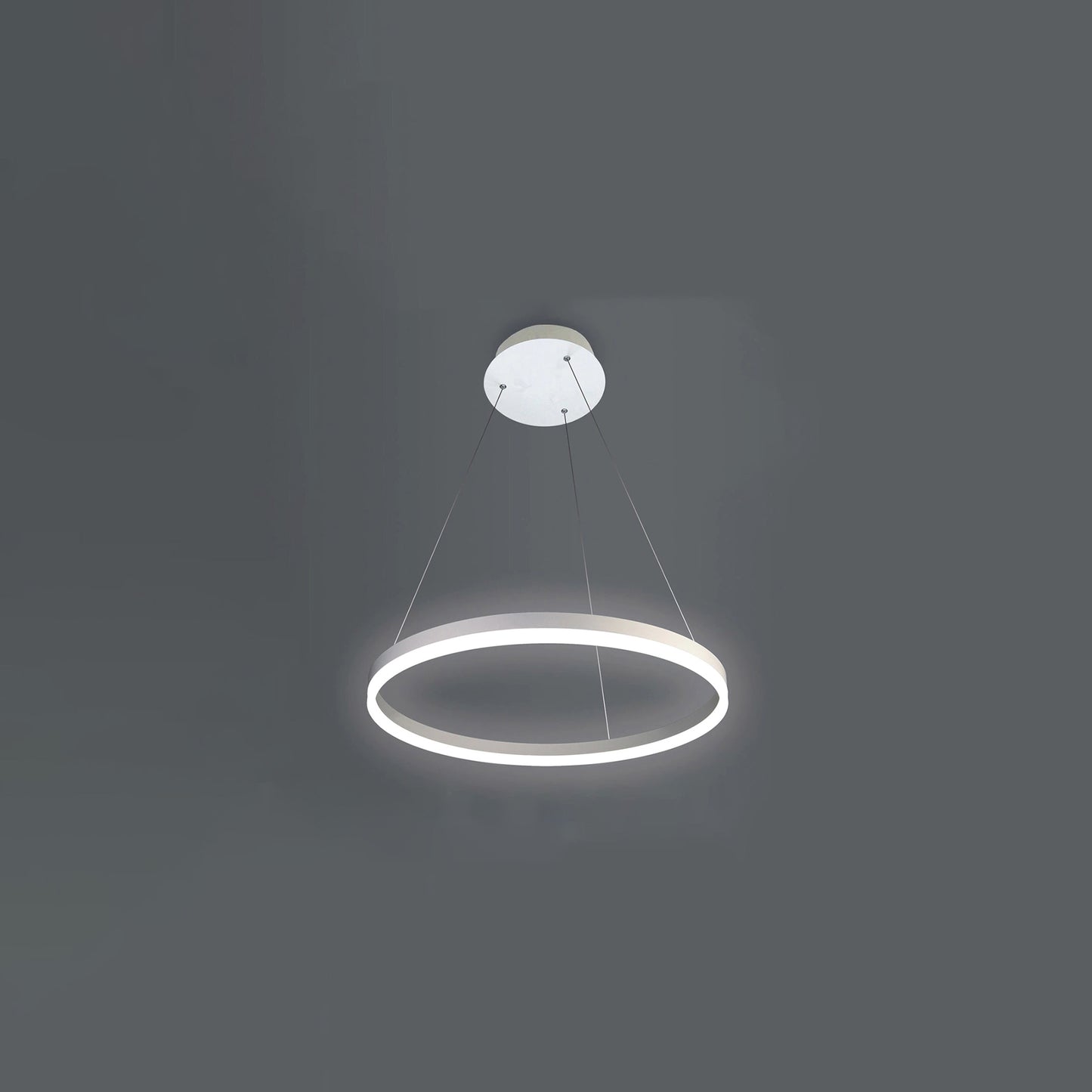 WOMO Ring Pendant Light-WM2030