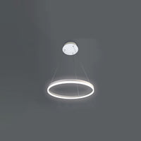 WOMO Ring LED Pendant Light-WM2030