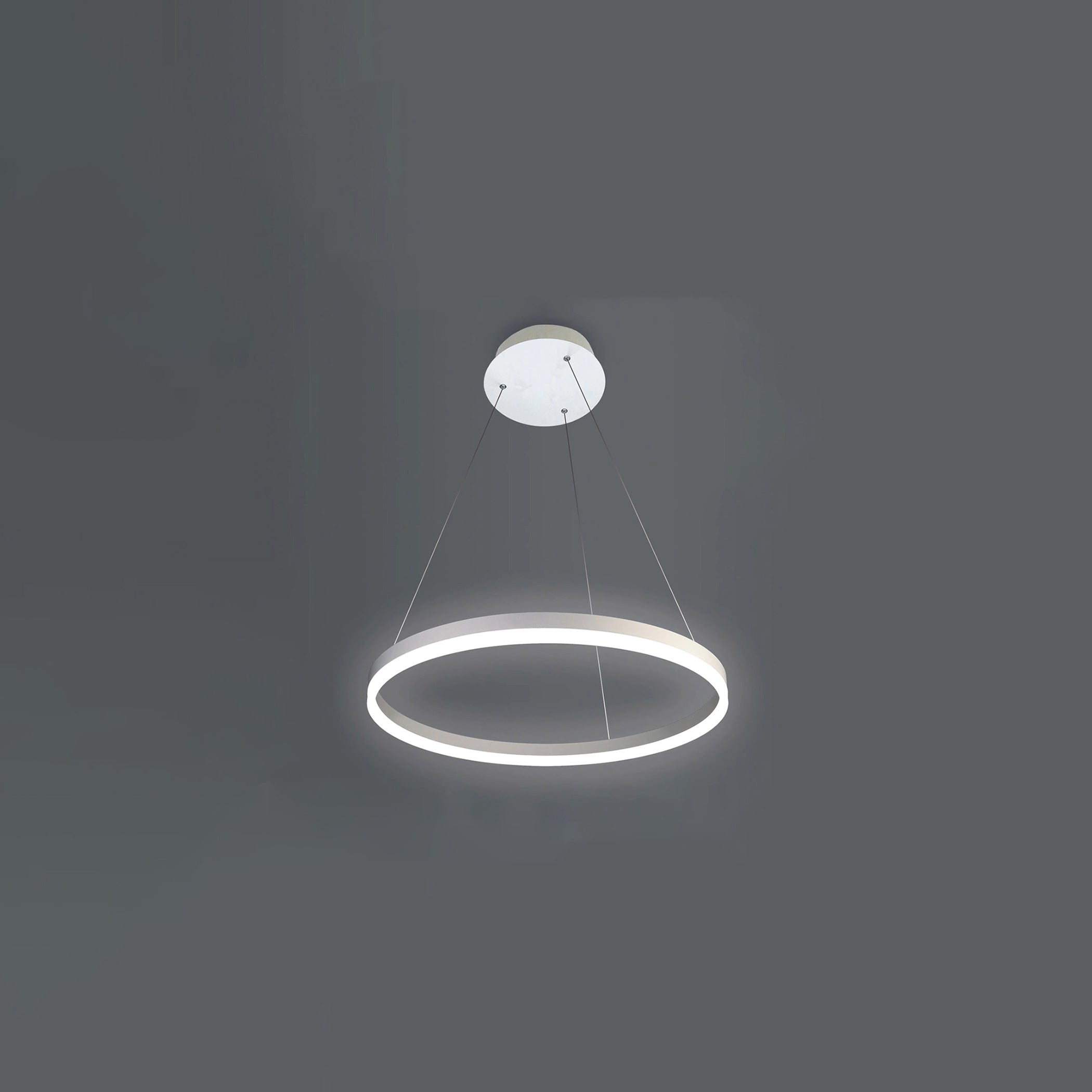WOMO Ring LED Pendant Light-WM2030