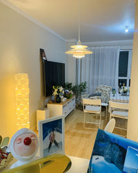 WOMO Colorful Dining Table Pendant Light-WM2058
