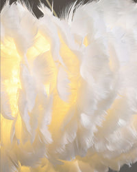 WOMO Feather Round Pendant Light-WM2060