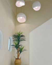 Ceiling-level view of three small white pendants suspended beside a tall indoor plant.