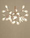 WOMO Heracleum/Firefly Branch Chandelier-WM2072 thumbnail