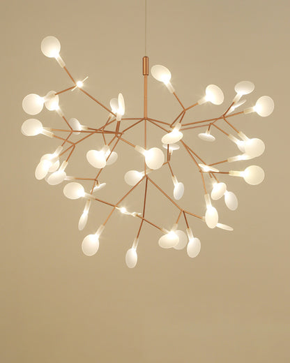 WOMO Heracleum/Firefly Chandelier-WM2072