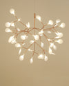 WOMO Heracleum/Firefly Branch Chandelier-WM2072 thumbnail