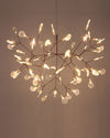 WOMO Heracleum/Firefly Branch Chandelier-WM2072 thumbnail