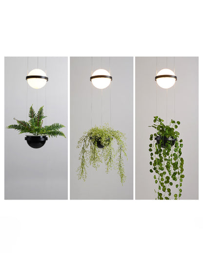 WOMO Plant Globe Pendant Light-WM2155