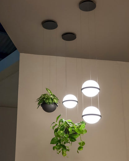 WOMO Plant Globe Pendant Light-WM2155