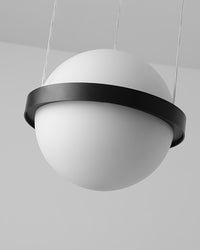 WOMO Plant Globe Pendant Light-WM2155