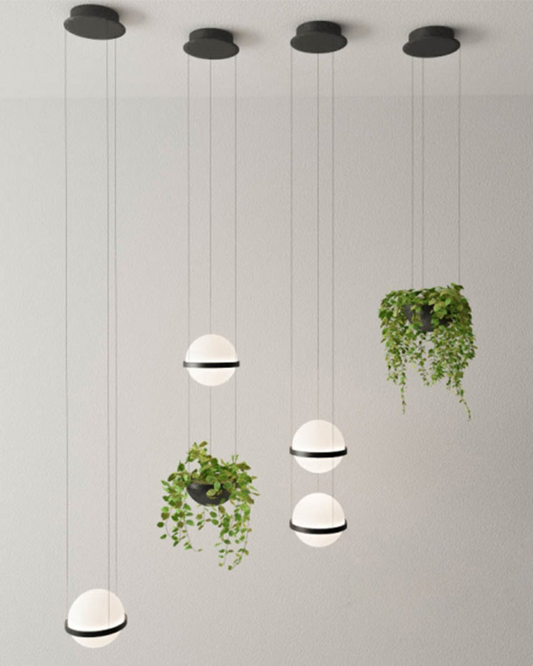 WOMO Plant Globe Pendant Light-WM2155