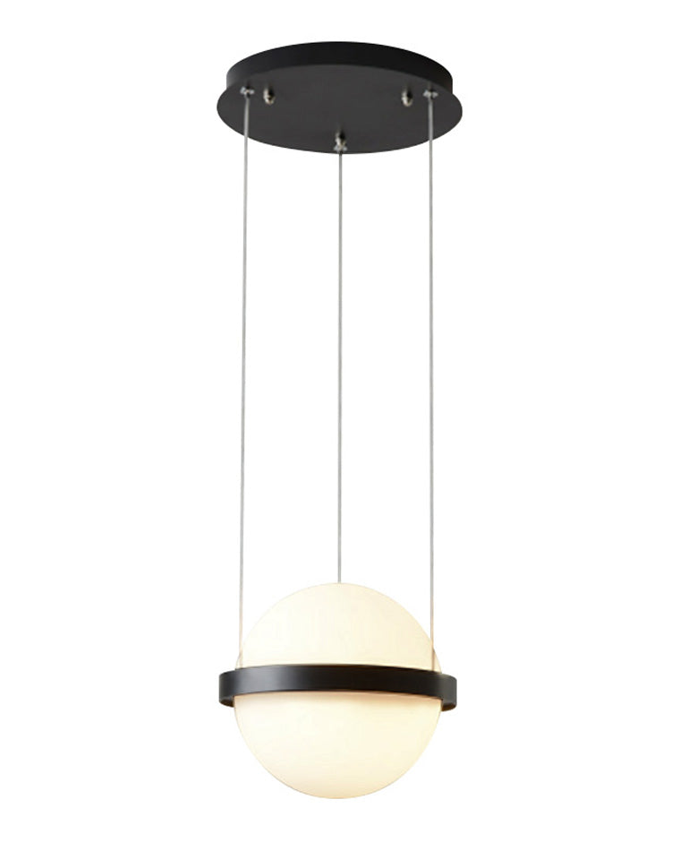 WOMO Plant Globe Pendant Light-WM2155