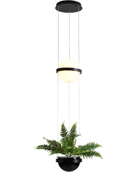 WOMO Plant Globe Pendant Light-WM2155