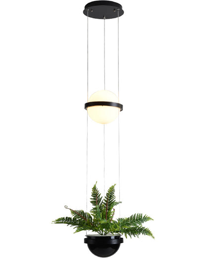 WOMO Plant Globe Pendant Light-WM2155