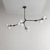 WOMO Branching Bubble Chandelier-WM2254 thumbnail