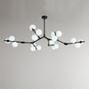 WOMO Branching Bubble Chandelier-WM2254 thumbnail