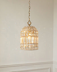 WOMO Birdcage Crystal Pendant Light-WM2343