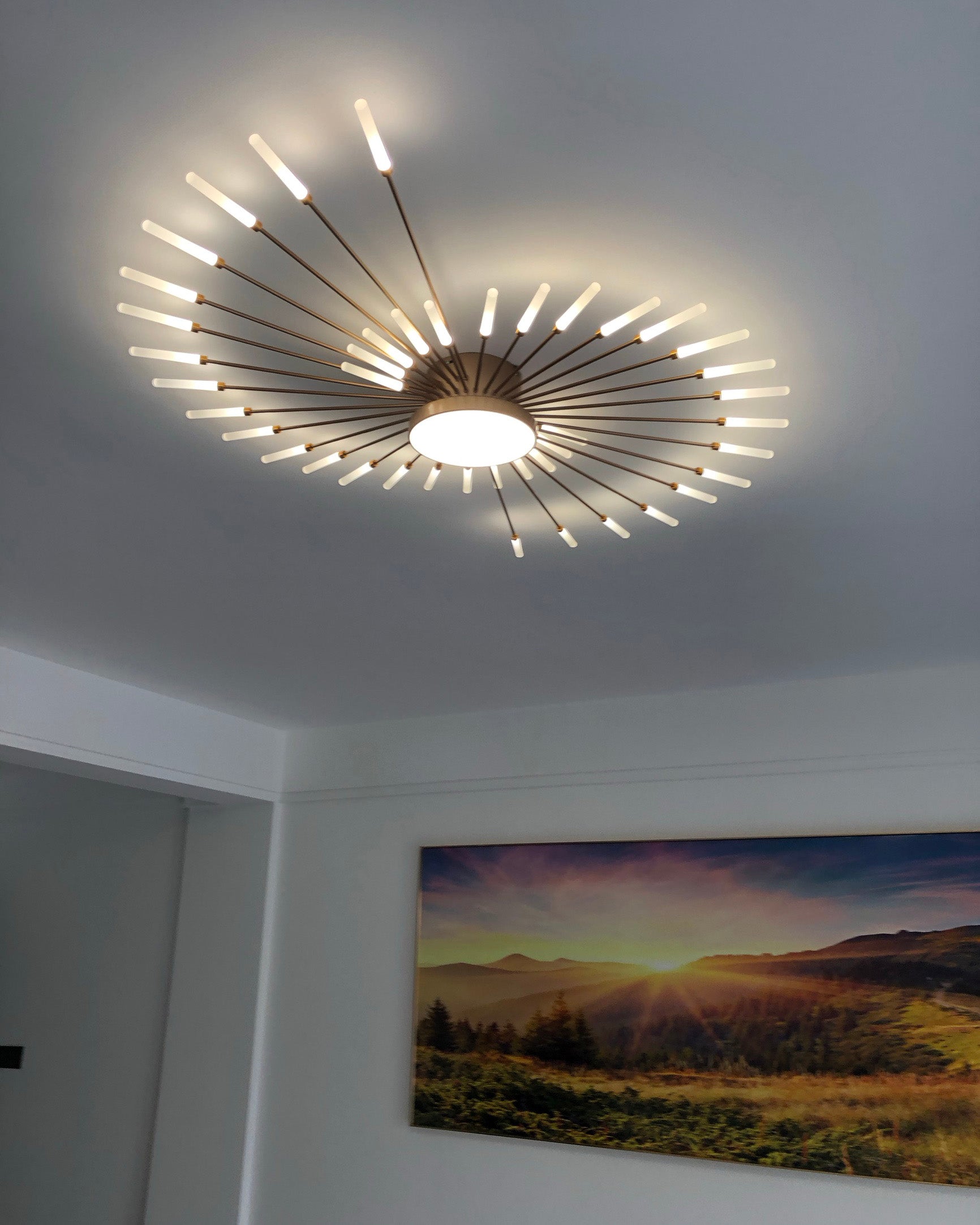 WOMO Firework Sunburst Flush Mount Ceiling Light-WM1001