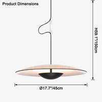 WOMO Flying Saucer Pendant Light-WM2578