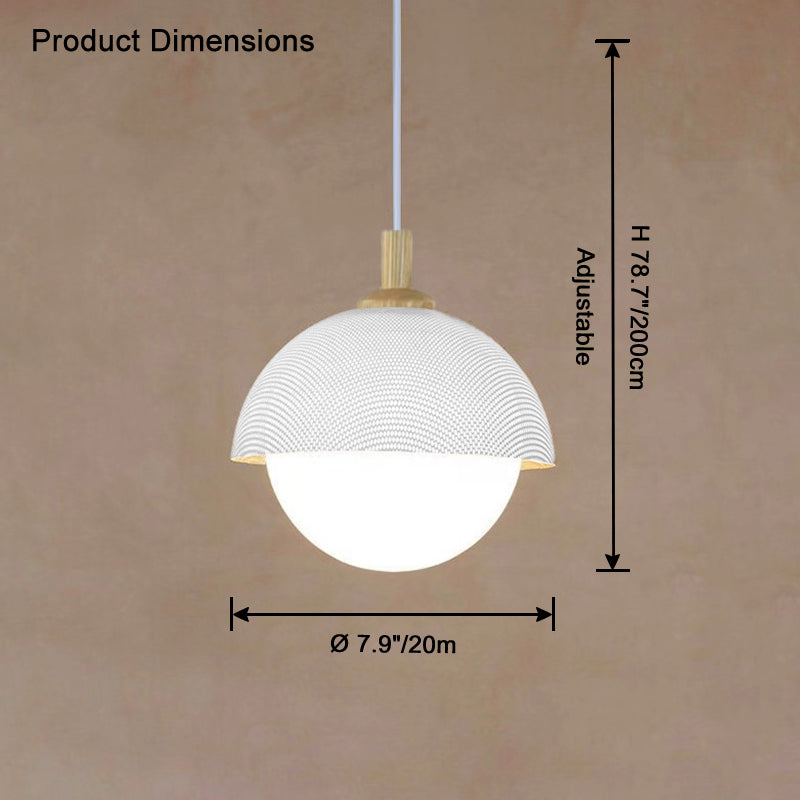 WOMO Globe Glass Pendant Light-WM2831