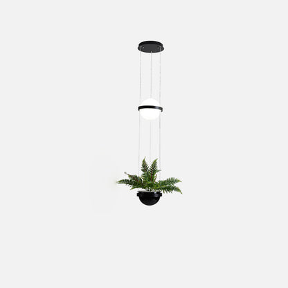 WOMO Plant Globe Pendant Light-WM2155