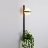 WOMO Globe Plant Wall Sconce-WM6035 thumbnail