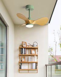 WOMO 24 inch Small Ceiling Fan Lamp- WM5172