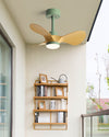 WOMO 24 inch Small Ceiling Fan Lamp- WM5172 thumbnail