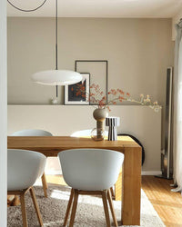 WOMO Flying Sauser Pendant Light-WM2730
