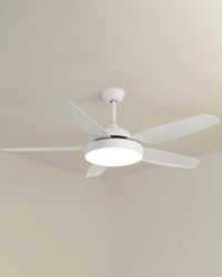 WOMO 5 Blade Ceiling Fan Lamp-WM5101