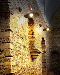 WOMO Gooseneck Barn Wall Lamp-WM9143