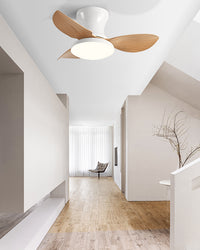 WOMO Small Ceiling Fan Lamp - WM5175