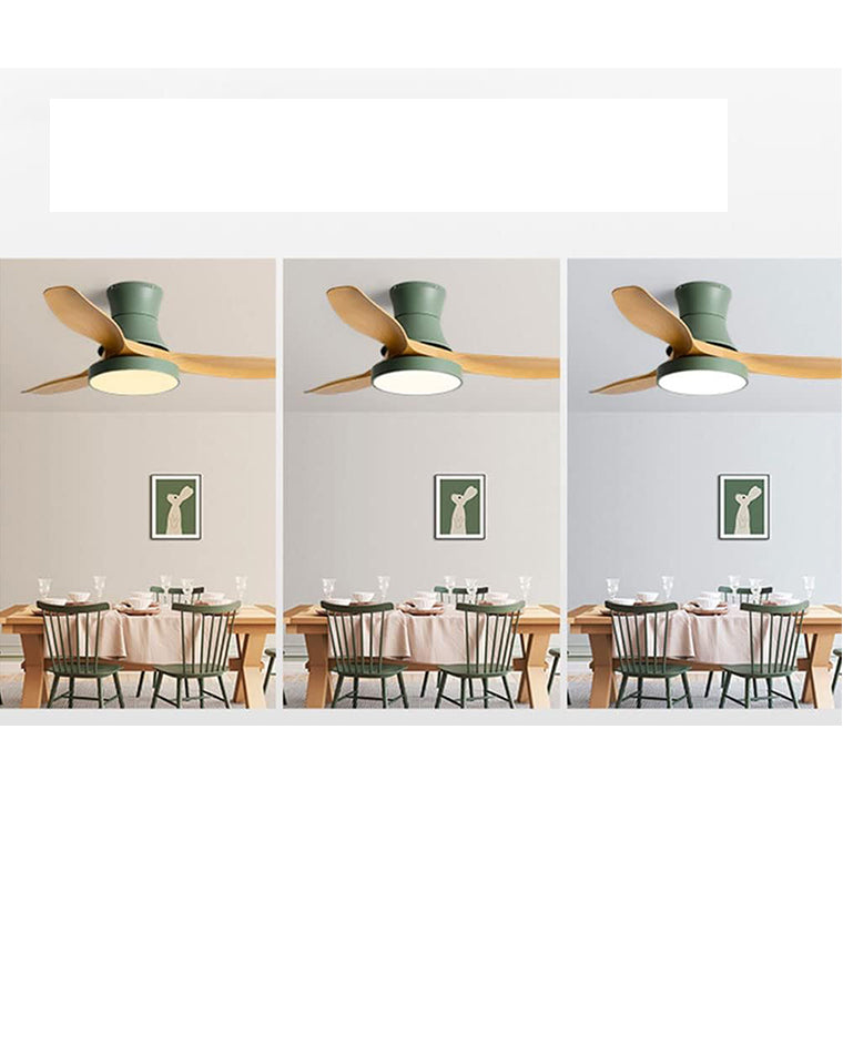 WOMO Flush Mount Ceiling Fan Lamp-WM5128