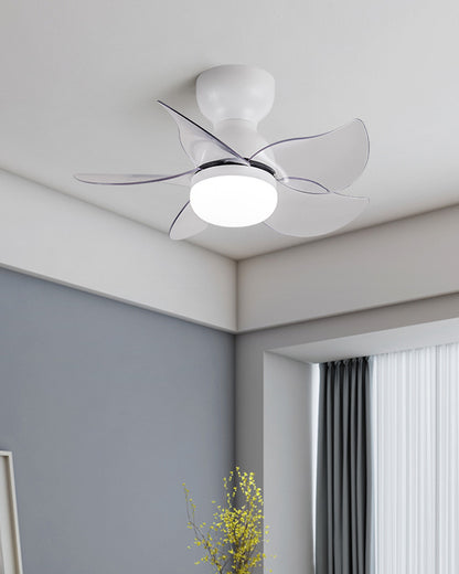 WOMO Small Ceiling Fan Lamp-WM5087