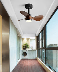 WOMO 24 inch Small Ceiling Fan Lamp- WM5172