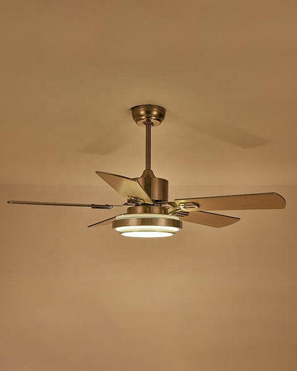 WOMO Stainless Steel Ceiling Fan Lamp-WM5057