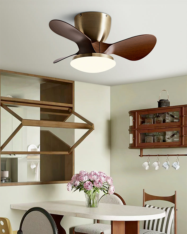 WOMO 24 Inch Small Low Profile Ceiling Fan Lamp - WM5159