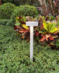 WOMO Round Bollard Light-WM9136