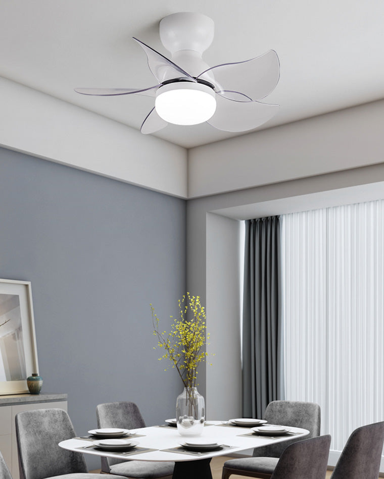 WOMO Small Ceiling Fan Lamp-WM5087