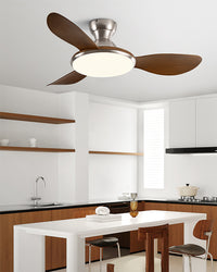 WOMO Low Profile Ceiling Fan Lamp- WM5164