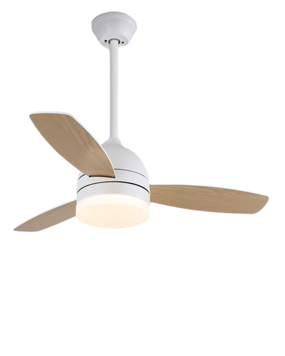 WOMO 3 Wood Blade Ceiling Fan Lamp-WM5001